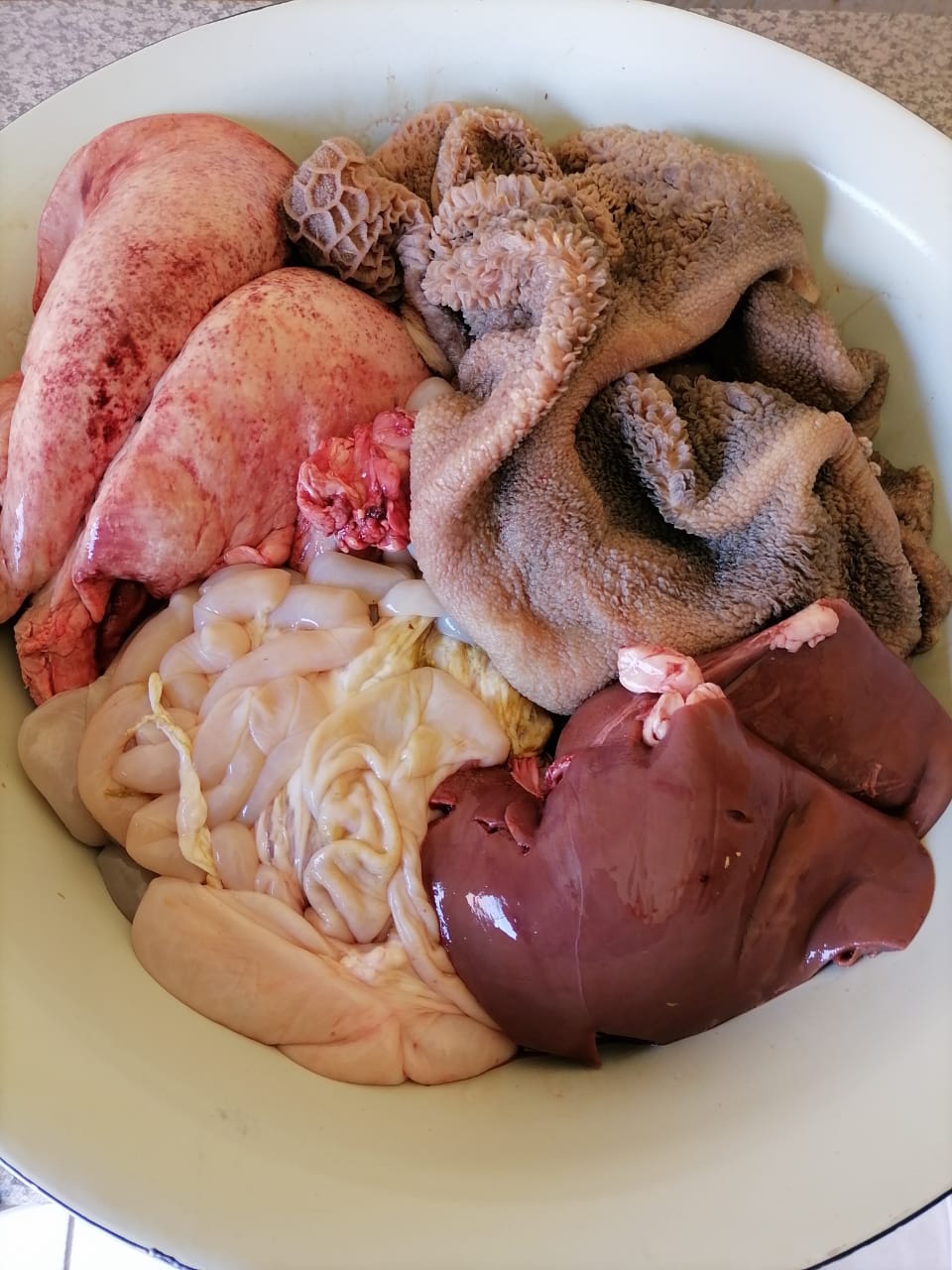 SHEEP TRIPE SET