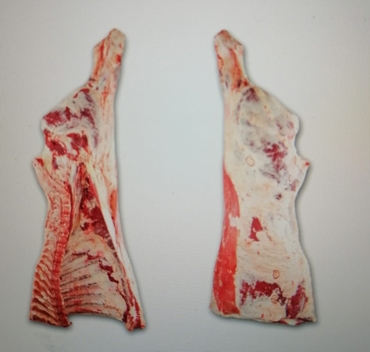 HARDBODY CHICKEN
